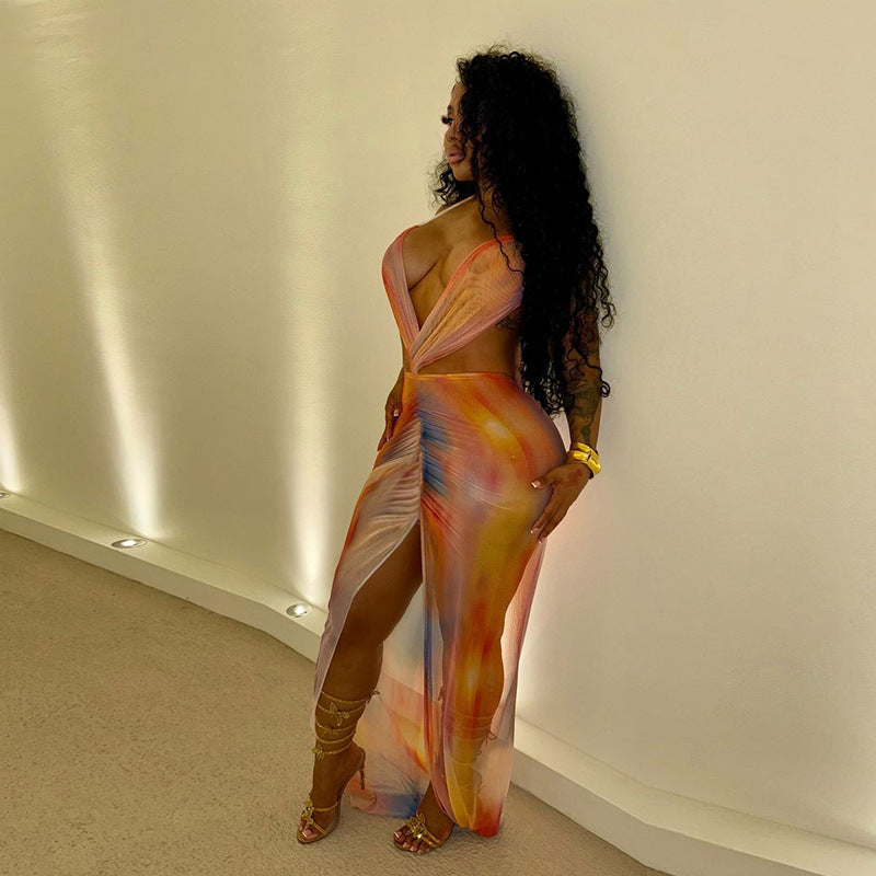 Halter Backless Mesh Dress